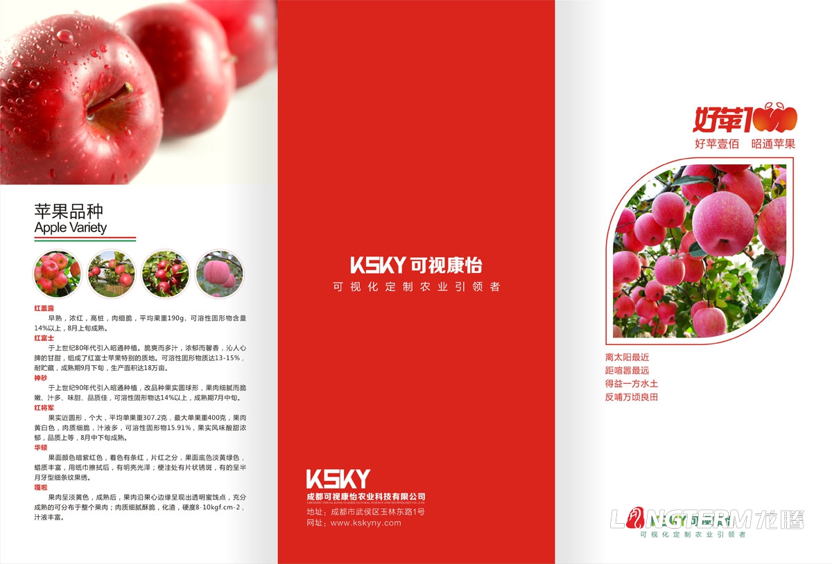 可视康怡苹果宣传三折页广告设计|水果苹果鲜果折页广告宣传物料设计